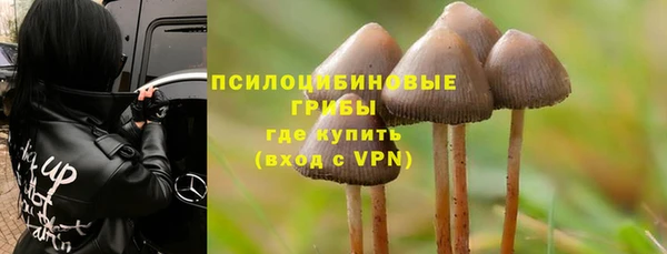 мет Краснослободск