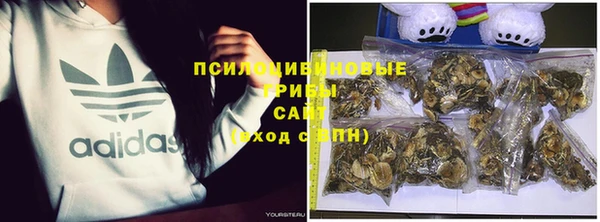ALPHA PVP Красноперекопск
